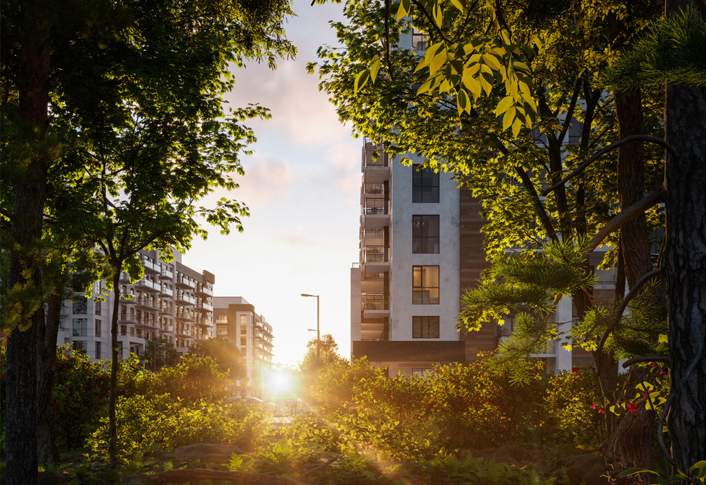 Mile and Creek Condos 5 6