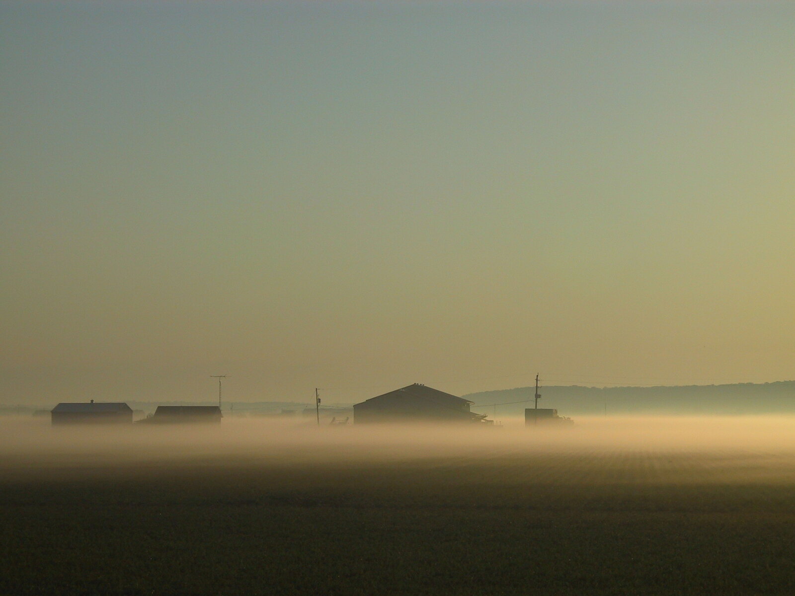 Dreamfields 2