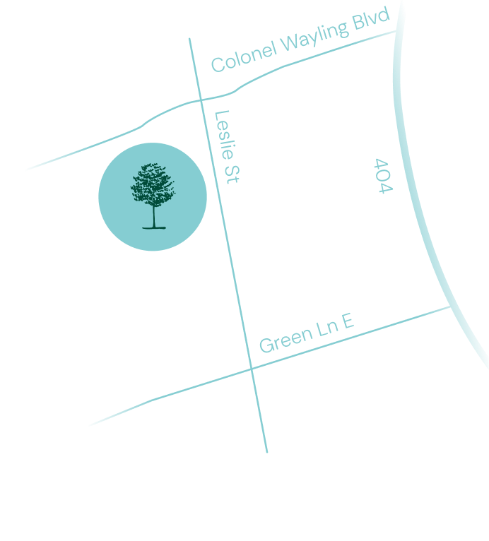 Walnut Creek Townhomes 3